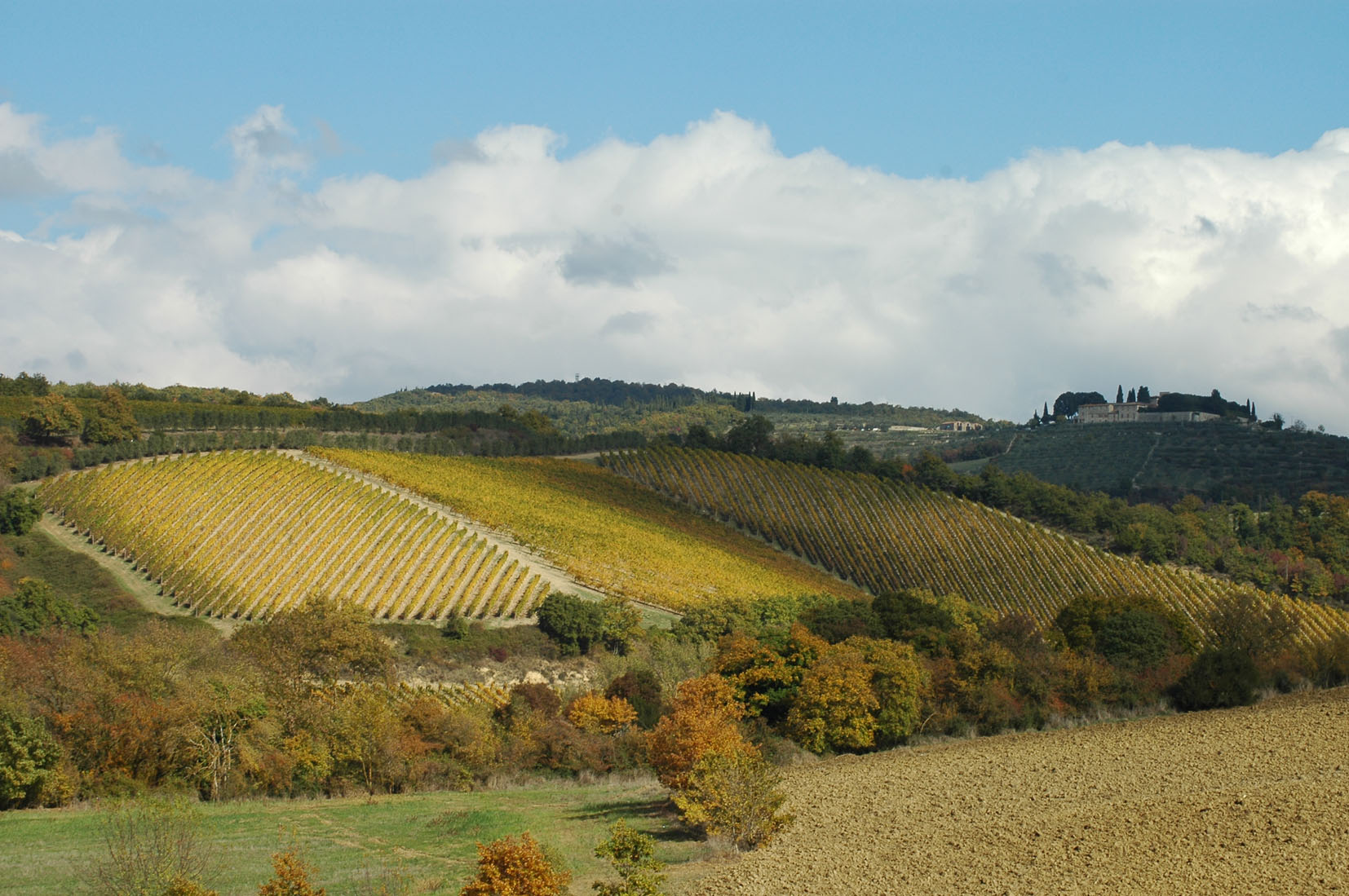Chianti